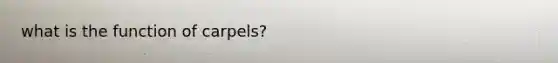 what is the function of carpels?