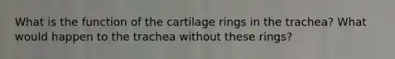 What is the function of the cartilage rings in the trachea? What would happen to the trachea without these rings?