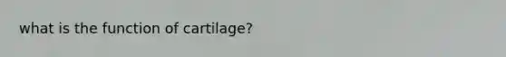 what is the function of cartilage?