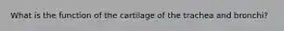 What is the function of the cartilage of the trachea and bronchi?