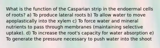 What is the function of the Casparian strip in the endoermal cells of roots? a) To produce lateral roots b) To allow water to move apoplastically into the xylem c) To force water and mineral nutrients to pass through membranes (maintaining selective uptake). d) To increase the root's capacity for water absorption e) To generate the pressure necessary to push water into the shoot