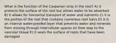 What is the function of the Casparian strip in the root? A) it protects the surface of the root but allows water to be absorbed B) it allows for horizontal transport of water and nutrients C) it is the portion of the root that contains numerous root hairs D) it is an internal water-proofed layer that prevents water and minerals from moving through intercellular spaces on their way to the vascular tissue E) it seals the surface of roots that have been damaged