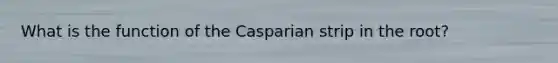 What is the function of the Casparian strip in the root?