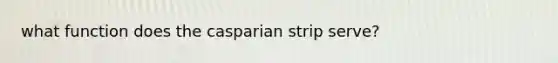 what function does the casparian strip serve?