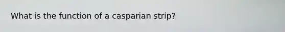 What is the function of a casparian strip?