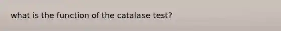 what is the function of the catalase test?