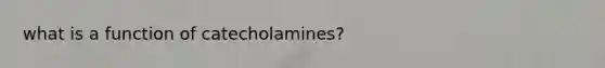 what is a function of catecholamines?