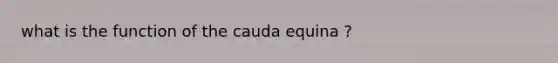 what is the function of the cauda equina ?