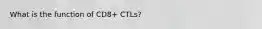 What is the function of CD8+ CTLs?