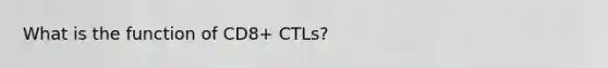 What is the function of CD8+ CTLs?