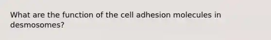 What are the function of the cell adhesion molecules in desmosomes?