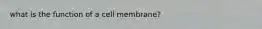 what is the function of a cell membrane?