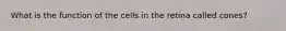 What is the function of the cells in the retina called cones?