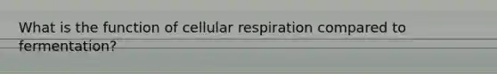 What is the function of cellular respiration compared to fermentation?