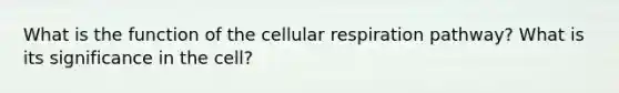 What is the function of the cellular respiration pathway? What is its significance in the cell?