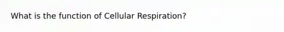 What is the function of Cellular Respiration?