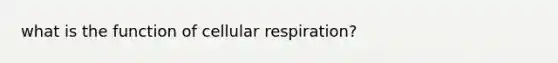 what is the function of <a href='https://www.questionai.com/knowledge/k1IqNYBAJw-cellular-respiration' class='anchor-knowledge'>cellular respiration</a>?