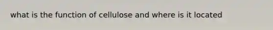 what is the function of cellulose and where is it located