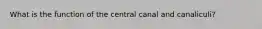 What is the function of the central canal and canaliculi?