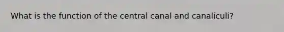 What is the function of the central canal and canaliculi?