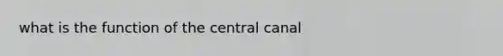 what is the function of the central canal