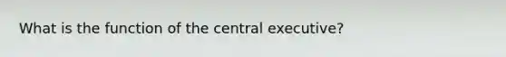 What is the function of the central executive?