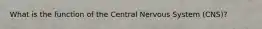 What is the function of the Central Nervous System (CNS)?