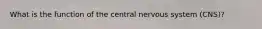 What is the function of the central nervous system (CNS)?