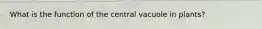 What is the function of the central vacuole in plants?