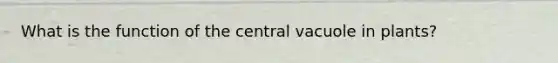 What is the function of the central vacuole in plants?