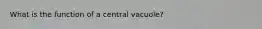 What is the function of a central vacuole?