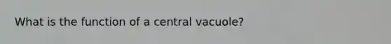 What is the function of a central vacuole?