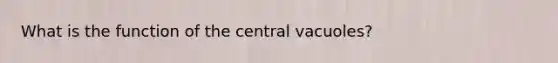 What is the function of the central vacuoles?