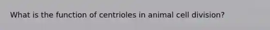 What is the function of centrioles in animal cell division?