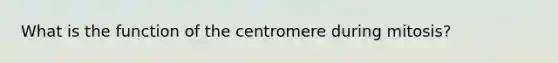 What is the function of the centromere during mitosis?