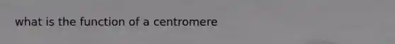 what is the function of a centromere