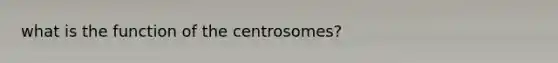 what is the function of the centrosomes?