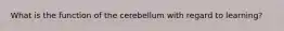 What is the function of the cerebellum with regard to learning?