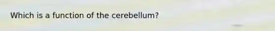 Which is a function of the cerebellum?