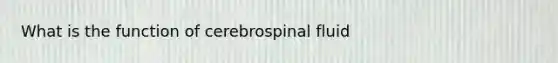 What is the function of cerebrospinal fluid