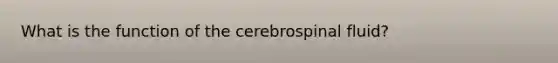 What is the function of the cerebrospinal fluid?