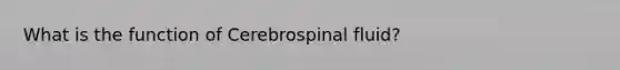 What is the function of Cerebrospinal fluid?