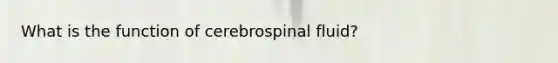 What is the function of cerebrospinal fluid?