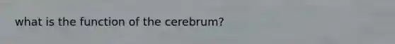 what is the function of the cerebrum?