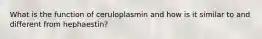 What is the function of ceruloplasmin and how is it similar to and different from hephaestin?