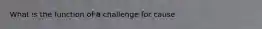 What is the function of a challenge for cause