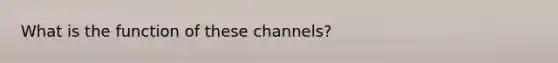 What is the function of these channels?