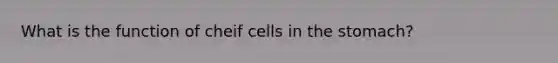 What is the function of cheif cells in the stomach?