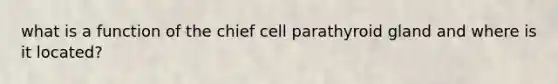 what is a function of the chief cell parathyroid gland and where is it located?