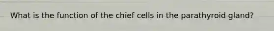 What is the function of the chief cells in the parathyroid gland?